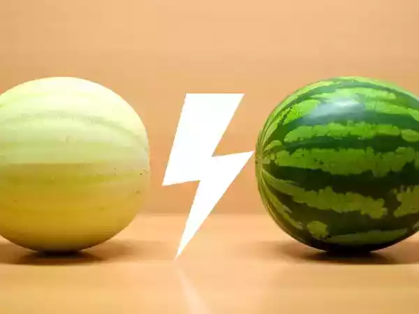 Melon vs vattenmelon: vilken återfuktar bäst?