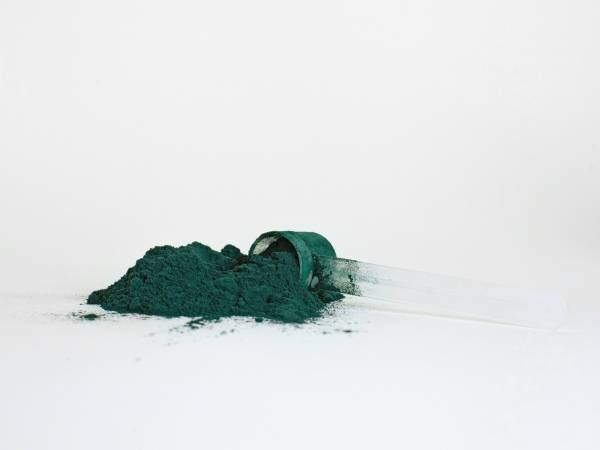 Spirulina: mirakelalgen för att sänka kolesterol och triglycerider naturligt!