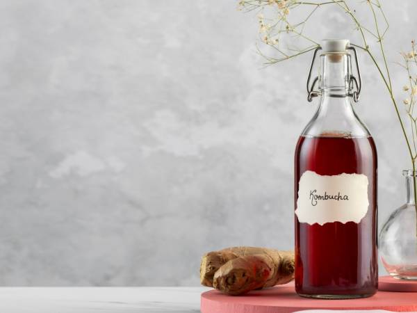 Kombucha: allt du behöver veta om den fermenterade drycken för tillfället