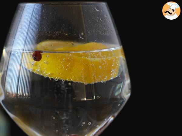 Gin och tonic, den viktigaste cocktailen för aperitifen! - foto 5